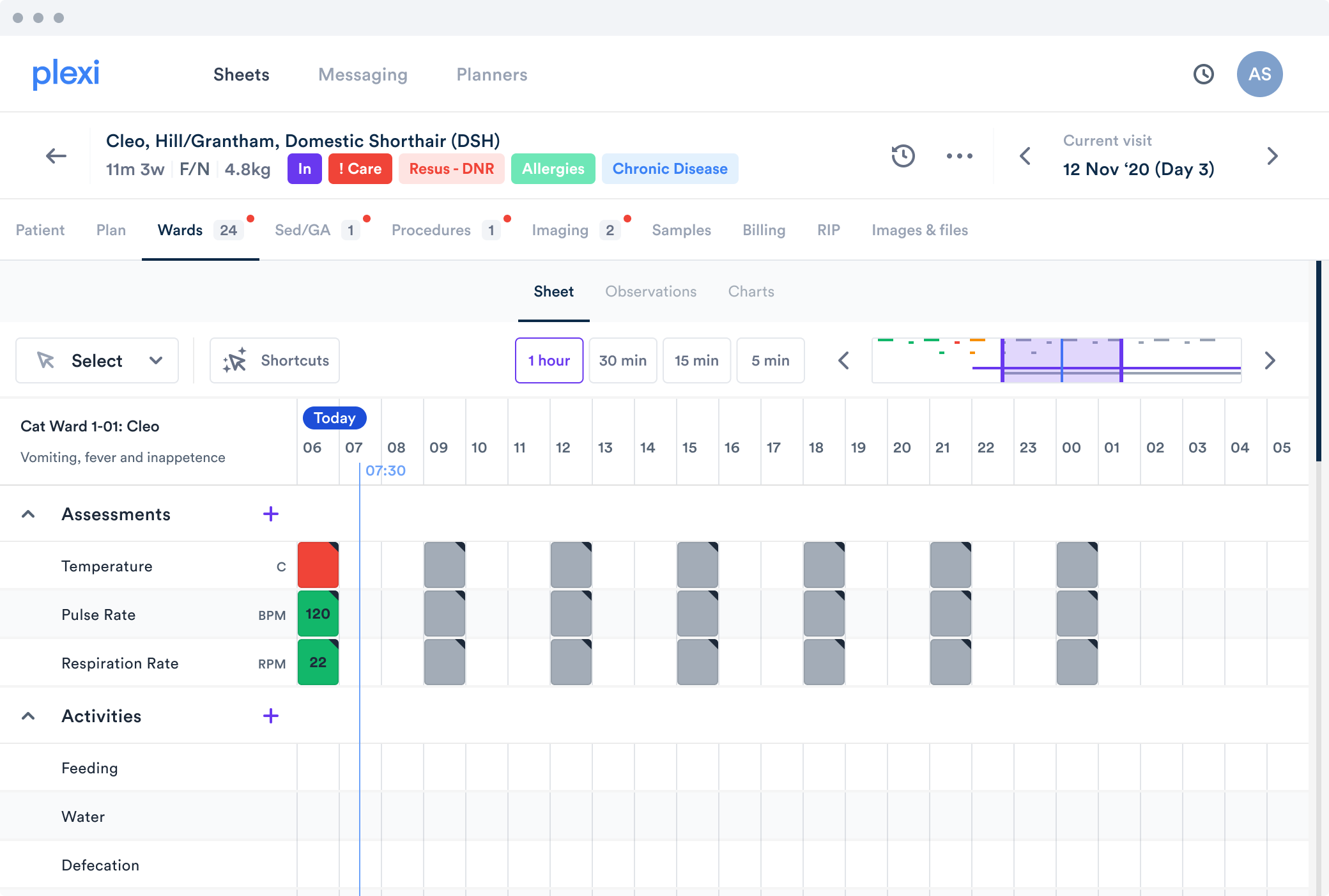 Plexi's Veterinary Workflow